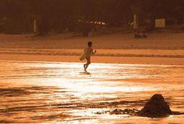 烏礁灣國家海濱森林公園 烏礁灣國家海濱森林公園