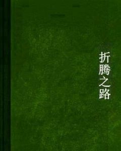 折騰之路 折騰之路