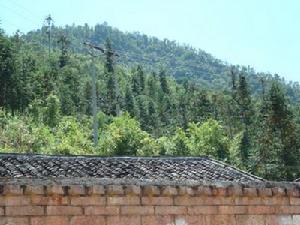 攏保一自然村-生態林