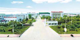 青島德盛機械製造有限公司 青島德盛機械製造有限公司