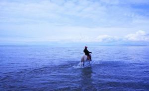 《騎馬下海的人》