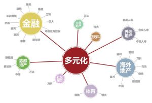 非相關多元化 非相關多元化