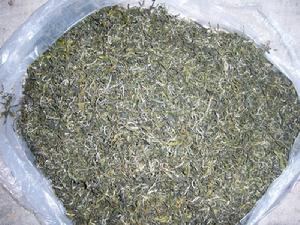 綠毛茶審評 綠毛茶審評