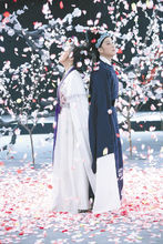 《陸游與唐琬》茅威濤飾陸游 陳輝玲飾唐琬