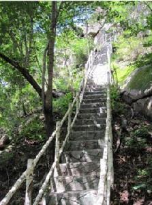 興隆林場[黑龍江省鐵力市興隆林場]