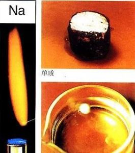 鈉 鈉