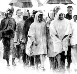 《九十五條論綱》