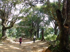 帕沙中寨一隊村 帕沙中寨一隊村