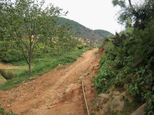 上密芝村 上密芝村