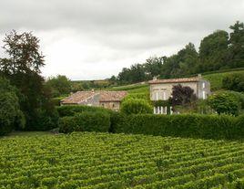 柏菲莊園 柏菲莊園