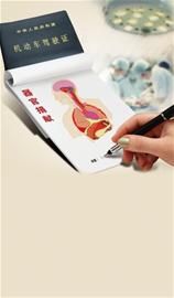 領駕照捐器官 領駕照捐器官