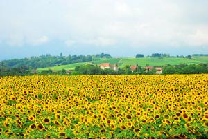 回憶留戀的地方