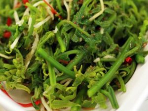 鮮蘑龍鬚菜 鮮蘑龍鬚菜