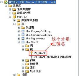主鍵約束 主鍵約束
