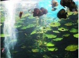 釜山水族館 釜山水族館