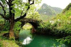 茂蘭街子自然村 茂蘭街子自然村