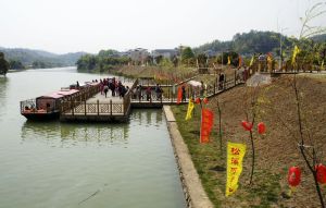 平遠紅豆林 平遠紅豆林