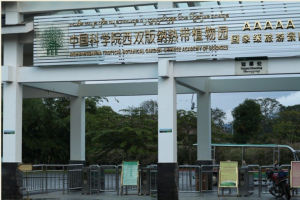 中國科學院西雙版納熱帶植物園