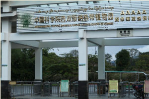 中國科學院西雙版納熱帶植物園 中國科學院西雙版納熱帶植物園