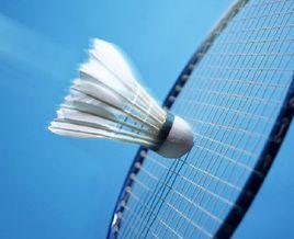 打羽毛球的技巧 打羽毛球的技巧