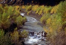 亞熱帶常綠闊葉林