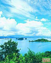 新豐江國家森林公園