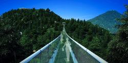 朱山植物園-飛虹吊橋