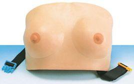 乳房檢查模型