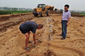 公路種菜 公路種菜