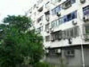 楊泰一村 楊泰一村