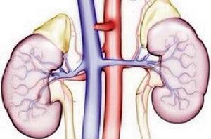 陰莖水腫 陰莖水腫