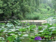 過河敞榭的遺蹟