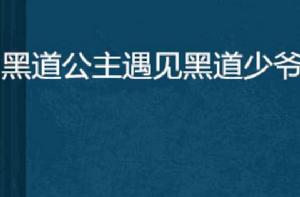 黑道公主遇見黑道少爺 黑道公主遇見黑道少爺
