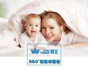 君王板材360&deg;硅藻淨醛板