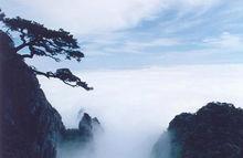 不識廬山真面目