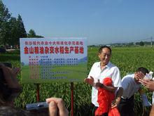 春華[湖南省長沙市長沙縣下轄鎮]