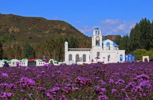 紫海香堤香草藝術莊園 紫海香堤香草藝術莊園
