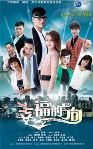 幸福的方向[中國2015年龍紹基、戰波指導穎兒主演電視劇]