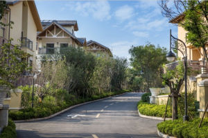 墓碑小鎮 墓碑小鎮