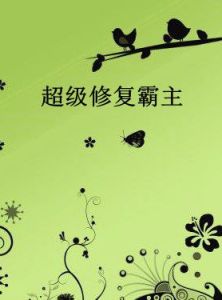 超級修復霸主 超級修復霸主