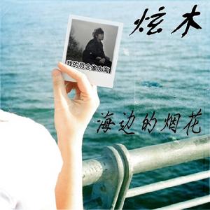 海邊的煙花 海邊的煙花