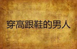 穿高跟鞋的男人