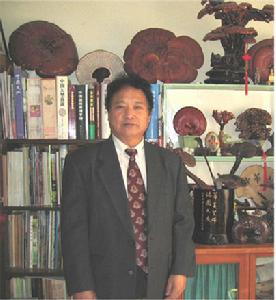 卯曉嵐,大型真菌分類學家