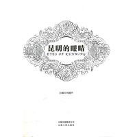 昆明的眼睛 昆明的眼睛