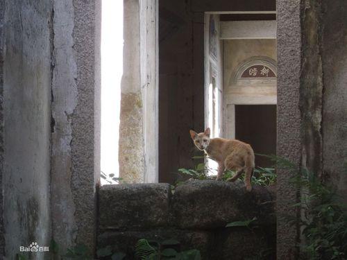 廣東普寧東街道上塘歸湖村