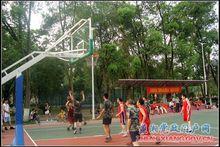 新陽社區[福建省泉州市洛江區下轄社區]