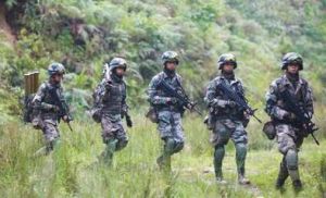 熱帶山嶽叢林地作戰 熱帶山嶽叢林地作戰