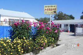 三道溝村[遼寧省朝陽市凌源市三十家子鎮三道溝村]