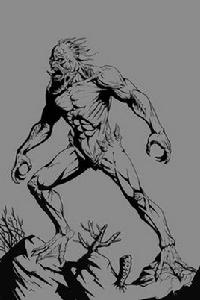 海猴子[盜墓筆記小說中虛擬怪物]