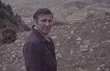 韋利米爾·巴塔·日沃伊諾維奇